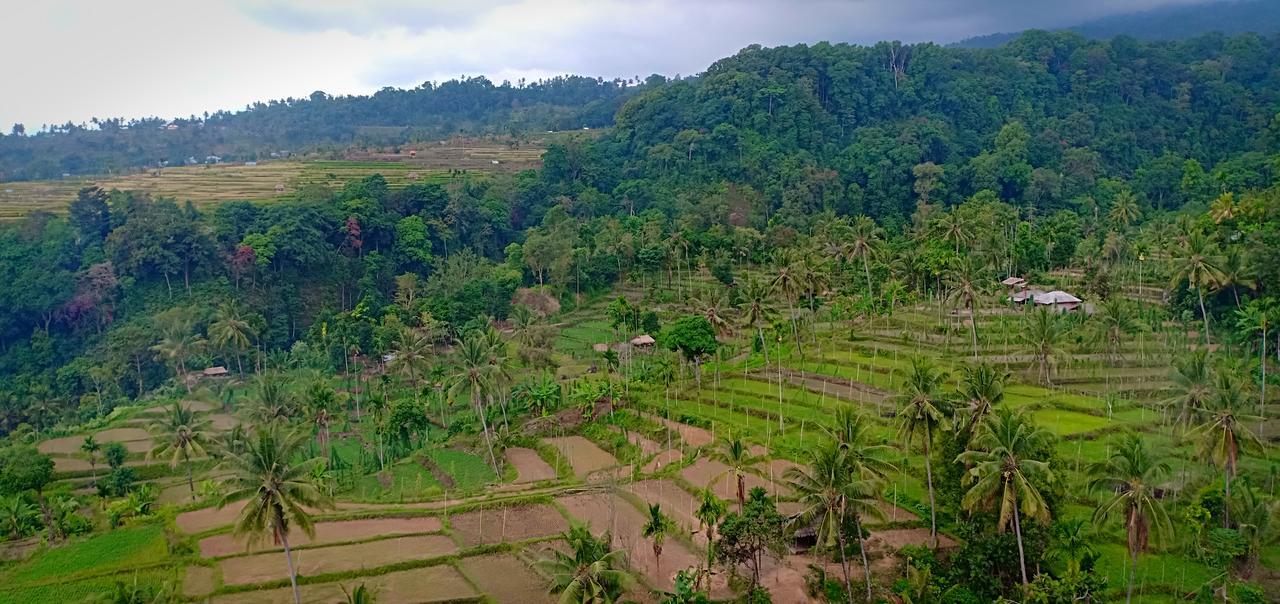 Green Rinjani Guest Houst Hotel Senaru Luaran gambar